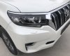 Toyota Prado 2018 - Cần bán xe Toyota Prado đời 2018, màu trắng, xe siêu lướt thơm mùi mới - Liên hệ: 094-711-6996 Mr Thanh
