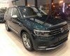 Volkswagen Tiguan 2018 - Bán ô tô Volkswagen Tiguan 2018, xe nhập