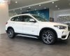 BMW X1 sDrive18i 2018 - Bán BMW X1 sDrive18i năm sản xuất 2018, màu trắng, nhập khẩu  