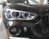 BMW X1 sDrive18i 2018 - Bán ô tô BMW X1 sDrive18i năm 2018, màu nâu, xe nhập