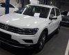 Volkswagen Tiguan G 2019 - Bán Tiguan Allspace 2019 suv 7 chỗ, xu thế suv 7 chỗ mới nhất tại Việt Nam – Hotline: 0909 717 983