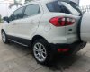 Ford EcoSport Titanium 1.5L AT 2018 - Bán ô tô Ford EcoSport Titanium 1.5L AT đời 2018, màu trắng, mới 100%