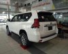 Toyota Prado 2019 - Bán xe Toyota Prado 2019, màu trắng, nhập khẩu nguyên chiếc