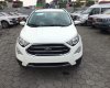 Ford EcoSport 1.5L Titanium AT 2019 - Bán Ford EcoSport 1.5L Titanium AT đời 2019, màu trắng giá tốt