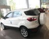 Ford EcoSport Titanium 1.5L 2019 - Bán Ford EcoSport Titanium 1.5L đời 2019, màu trắng, giá sốc cuối năm