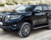 Toyota Land Cruiser Prado VX 2018 - Bán Toyota Prado VX sản xuất 2018, màu đen, xe nhập