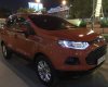 Ford EcoSport 2017 - Cần bán Ford EcoSport 2017, màu đỏ, nhập khẩu nguyên chiếc