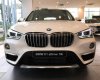 BMW X1 2018 - Cần bán xe BMW X1 sản xuất 2018, màu trắng, nhập khẩu nguyên chiếc
