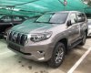 Toyota Prado 2019 - Cần bán gấp Toyota Prado 2019, màu bạc, nhập khẩu nguyên chiếc