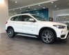 BMW X1 2018 - Bán xe BMW X1 năm 2018, màu trắng, nhập khẩu nguyên chiếc