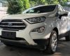 Ford EcoSport 2018 - Cần bán xe Ford EcoSport đời 2018, màu trắng, nhập khẩu nguyên chiếc, giá 530tr