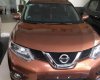 Nissan X trail   SV 2.5  2017 - Cần bán xe Nissan X trail SV 2.5 năm sản xuất 2017, nhập khẩu như mới