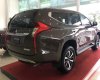 Mitsubishi Pajero 2018 - Bán ô tô Mitsubishi Pajero năm sản xuất 2018, màu nâu, nhập khẩu nguyên chiếc