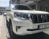 Toyota Prado 2019 - Cần bán lại xe Toyota Prado đời 2019, màu trắng, xe nhập như mới