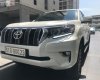 Toyota Prado 2019 - Cần bán lại xe Toyota Prado đời 2019, màu trắng, xe nhập như mới