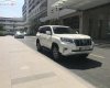 Toyota Prado 2019 - Cần bán lại xe Toyota Prado đời 2019, màu trắng, xe nhập như mới