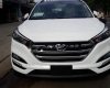 Hyundai Tucson 2.0 ATH 2018 - Bán Hyundai Tucson 2.0 ATH 2018, nhập CKD, tiêu chuẩn khí thải Euro 4