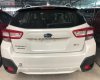 Subaru XV 2.0 I-S Eyesight 2019 - Cần bán Subaru XV 2.0 I-S Eyesight đời 2019, màu trắng, xe giao ngay