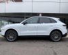 Porsche Cayenne 3.0 V6 2019 - Bán Porsche Cayenne 3.0 V6 sản xuất năm 2019, màu trắng, xe nhập  