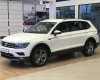 Volkswagen Tiguan 2019 - Cần bán Volkswagen Tiguan đời 2019, màu trắng, xe nhập