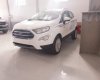 Ford EcoSport   2019 - Bán xe Ford EcoSport năm sản xuất 2019, màu trắng, giá tốt