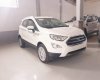 Ford EcoSport   2019 - Bán xe Ford EcoSport năm sản xuất 2019, màu trắng, giá tốt