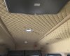 Ford Transit Limousine 2015 - Xe Ford Transit Limousine 2015