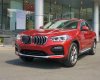 BMW X4 X4 xDrive 2.0L 2019 2018 - Bán BMW X4 2.0L mới 2019 - Nhập khẩu nguyên chiếc - Ưu đãi BHVC 1 năm +Coupon quà tặng