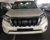 Toyota Land Cruiser Prado VX 2018 - Bán ô tô Toyota Land Cruiser Prado VX năm sản xuất 2018, nhập khẩu