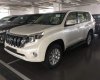 Toyota Land Cruiser Prado VX 2018 - Bán ô tô Toyota Land Cruiser Prado VX năm sản xuất 2018, nhập khẩu