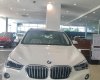 BMW X1   2018 - Bán BMW X1 mới 2018 - Nhập khẩu nguyên chiếc từ Đức - Ưu đãi BHVC + Coupon bảo dưỡng 1 năm