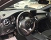 Mercedes-Benz GLA-Class  250 AMG 2016 - Bán ô tô Mercedes GLA250 AMG sx 2016, model 2017, nhập khẩu nguyên chiếc Đức