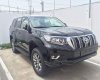 Toyota Land Cruiser 2018 - Bán ô tô Toyota Land Cruiser đời 2018, màu đen, nhập khẩu nguyên chiếc