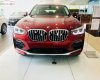 BMW X4 xDrive20i 2018 - Bán BMW X4 xDrive20i đời 2018, màu đỏ, nhập khẩu 