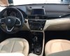 BMW X1 2018 - Bán BMW X1 đời 2019, màu nâu, nhập khẩu