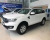 Ford Everest Ambiente 2019 - Bán xe Ford Everest Ambiente 2019, màu trắng, nhập khẩu  