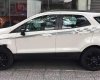 Ford EcoSport  Black Edition 2016 - Bán xe Ford EcoSport Black Edition sản xuất năm 2016, màu trắng