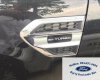 Ford Everest 2.0L Bi Turbo Titanium AT 2019 - Hot Hot Hot - Sẵn xe giao ngay Ford Everest 2019 Titanium màu đen, 2 cầu