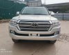 Toyota Land Cruiser 5.7 V8 2018 - Bán Toyota Land Cruiser 5.7 V8 đời 2019 nhập Mỹ