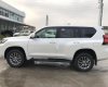 Toyota Land Cruiser Prado VX 2019 - Bán Toyota Land Cruiser Prado mới 100%, NK Nhật Bản, giá tốt, LH 0942.456.838