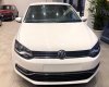 Volkswagen Polo 2019 - Volkswagen Polo Hacthback 2019 – đủ màu giao ngay