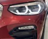 BMW X4 2019 - Cần bán BMW X4 đời 2019, màu đỏ, nhập khẩu nguyên chiếc