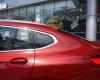 BMW X4 2019 - Cần bán BMW X4 đời 2019, màu đỏ, nhập khẩu nguyên chiếc