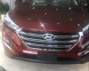 Hyundai Tucson 2.0 2018 - Bán xe Hyundai Tucson 2.0 đời 2018, màu đỏ, giá chỉ 828 triệu
