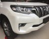 Toyota Land Cruiser Prado 2019 - Toyota Land Cruiser Prado đen - giao ngay, Hiếu 093.4042.123