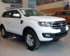 Ford Everest   2019 - Bán Ford Everest 2019, màu trắng, nhập khẩu