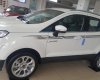 Ford EcoSport 2019 - Bán Ford EcoSport năm 2019, giá tốt nhất thị trường chỉ 663 triệu