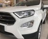Ford EcoSport 1.5AT Titanium 2019 - Bán ô tô Ford EcoSport 1.5AT Titanium 2019, màu trắng, giao ngay - LH 0982.88.77.61