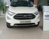 Ford EcoSport 2019 - Bán ô tô Ford EcoSport năm sản xuất 2019, màu trắng