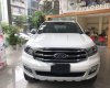 Ford Everest  2.0AT  2019 - Bán xe Ford Everest 2.0AT đời 2019, màu trắng, xe nhập